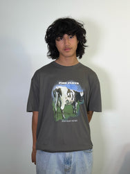 Pink Floyd Atom Heart Mother Fade Tee