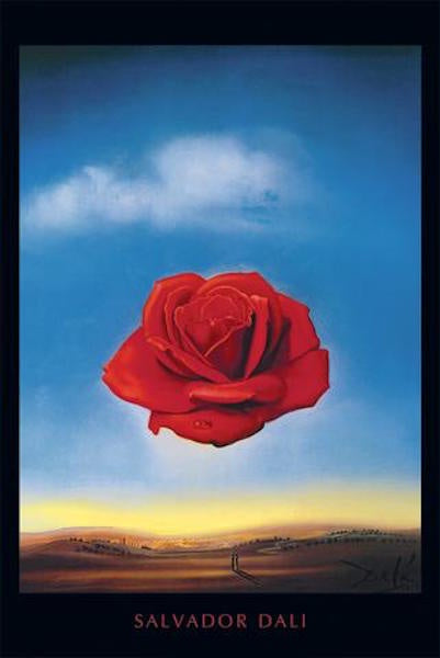 Dali Meditative Rose Poster #303