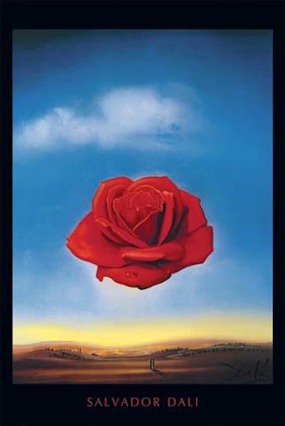 Dali Meditative Rose Poster #303