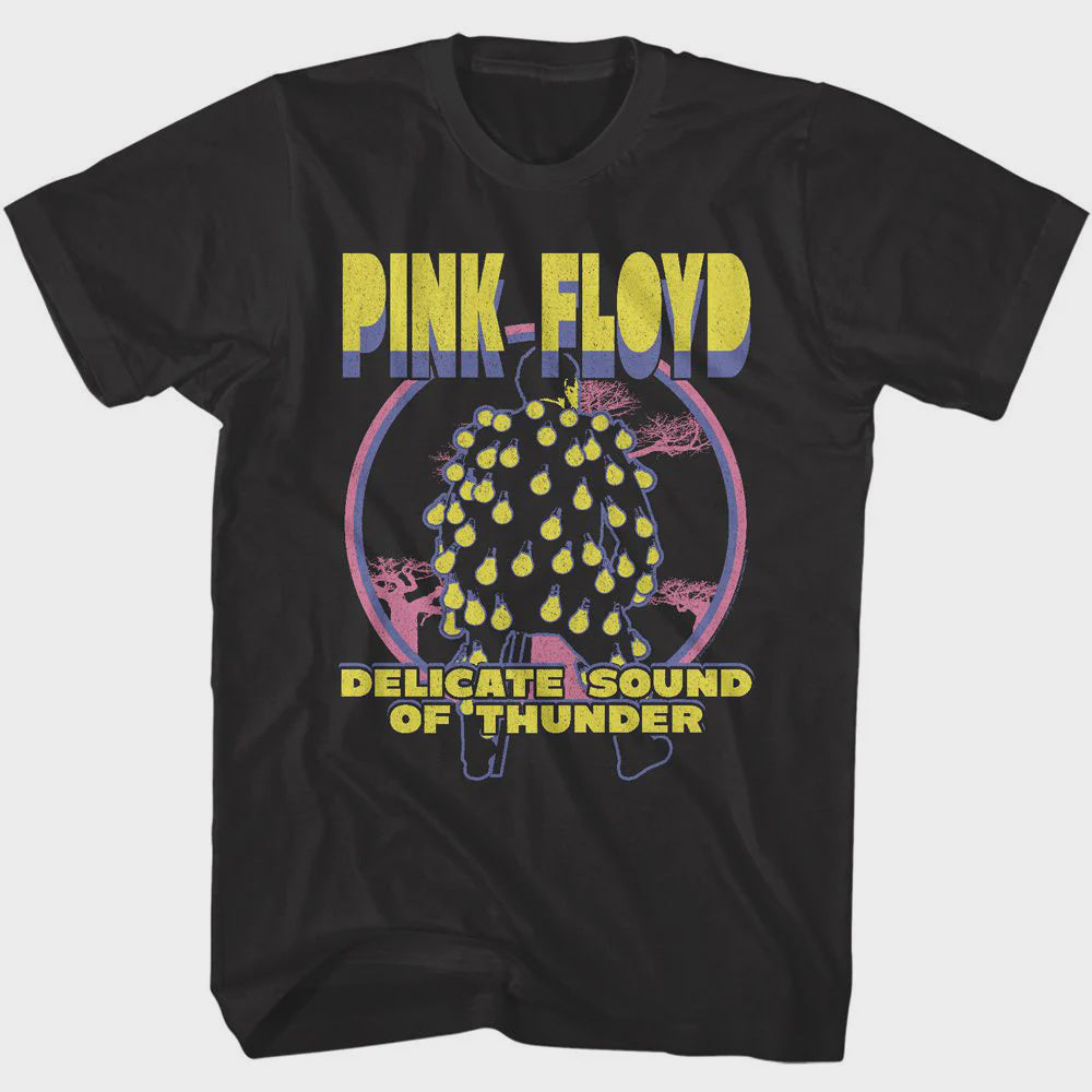 Pink Floyd Delicate Sound of Thunder