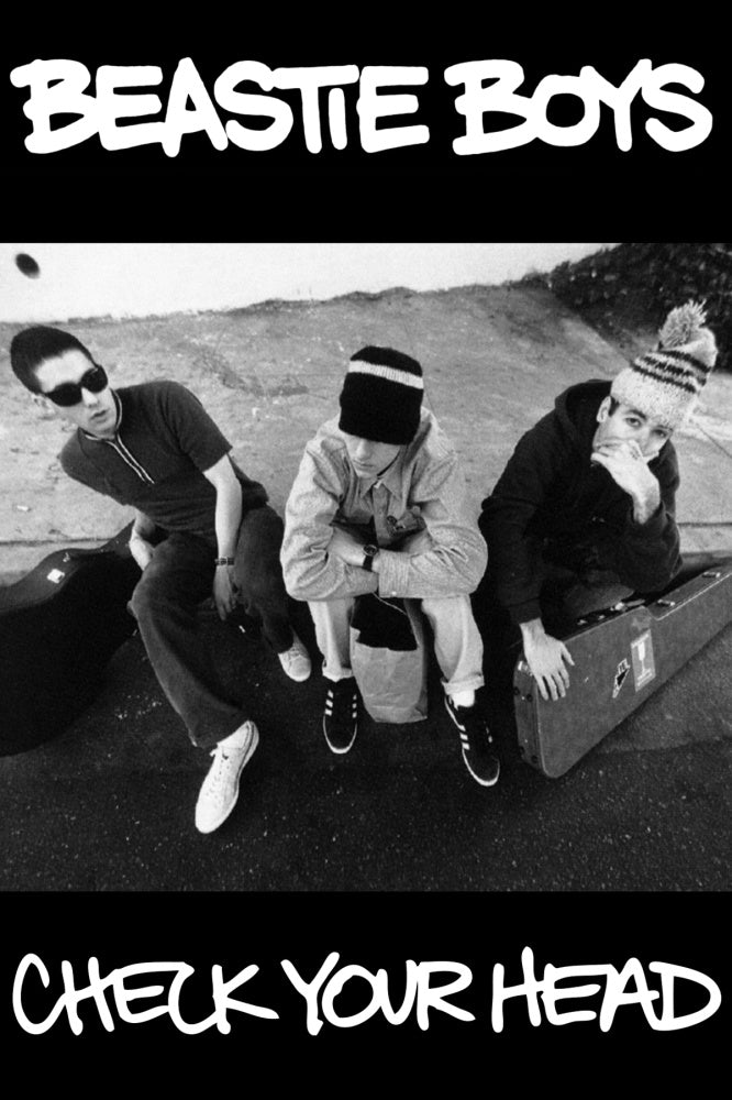 Beastie Boys Check Your Head Poster #21