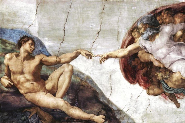 Michelangelo Creation Poster #313